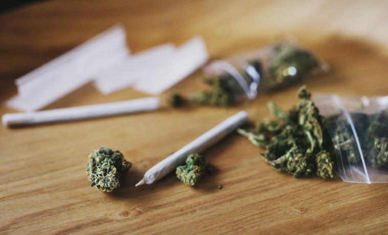 Will Florida Legalize Recreational Marijuana in 2022?